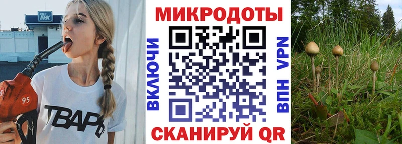Галлюциногенные грибы мицелий  Купить  Ржев 